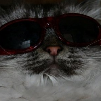 Vernon Hogan's avatar